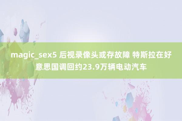 magic_sex5 后视录像头或存故障 特斯拉在好意思国调回约23.9万辆电动汽车