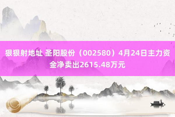 狠狠射地址 圣阳股份（002580）4月24日主力资金净卖出2615.48万元