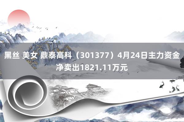 黑丝 美女 鼎泰高科（301377）4月24日主力资金净卖出1821.11万元