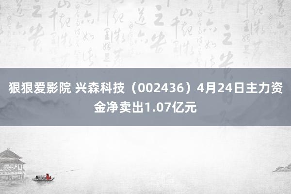 狠狠爱影院 兴森科技（002436）4月24日主力资金净卖出1.07亿元