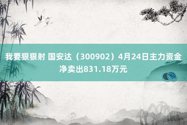 我要狠狠射 国安达（300902）4月24日主力资金净卖出831.18万元