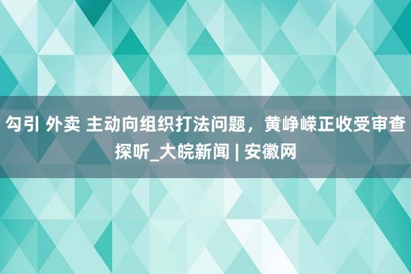 勾引 外卖 主动向组织打法问题，黄峥嵘正收受审查探听_大皖新闻 | 安徽网