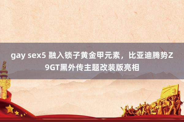 gay sex5 融入锁子黄金甲元素，比亚迪腾势Z9GT黑外传主题改装版亮相