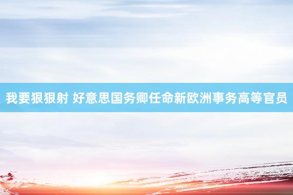 我要狠狠射 好意思国务卿任命新欧洲事务高等官员